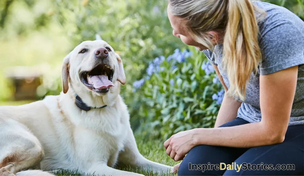 Choosing the Right Pet