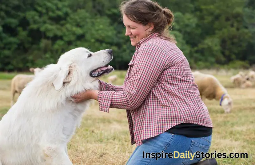 Choosing the Right Pet