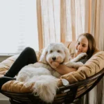 What Are the Key Considerations When Choosing a Pet Sitter