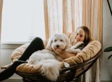 What Are the Key Considerations When Choosing a Pet Sitter